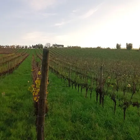 I Tre Filari * Bagnolo (Marche)