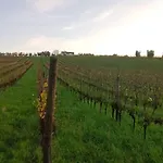 I Tre Filari * Bagnolo (Marche)