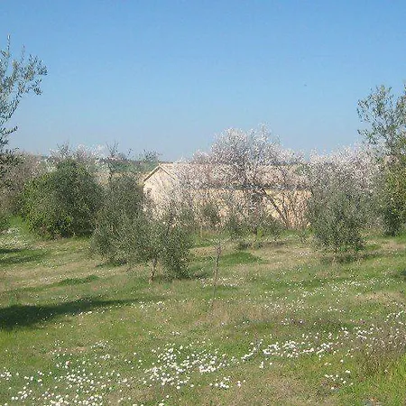 I Tre Filari Hotel *