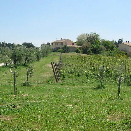 I Tre Filari Bagnolo (Marche)