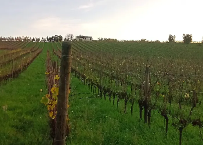 I Tre Filari * Bagnolo (Marche)