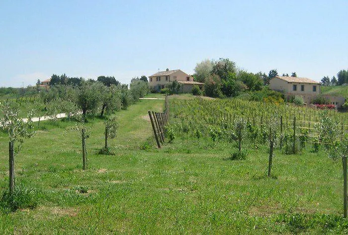 I Tre Filari Bagnolo (Marche)